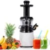 AREBOS Extracteur De Jus Presse-agrumes En Acier Inoxydable 200W Sans BPA Blanc Ou Acier Inoxydable (Blanc)