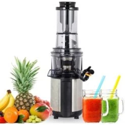 AREBOS Extracteur De Jus Presse-agrumes Centrifugeuse Lent Pour Fruit De 200W Acier Inoxydable
