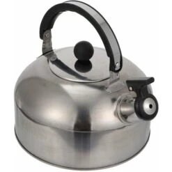 Bouilloire Sifflante Bouilloire à Thé Bouilloire Sifflante Bouilloire Bouilloire Sifflante En Acier Inoxydable Théière à Induction Cafetière Bouilloire Sifflante Pour Cuisinière à Gaz Intérieur Randon