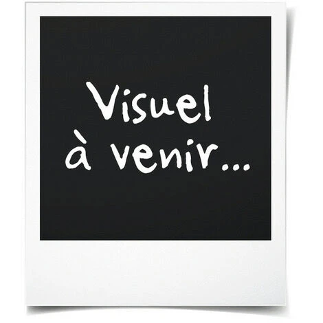 Théière En Fonte Chinoise Song 1,2 L. – Image 4